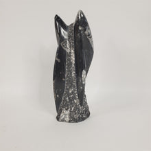 Load image into Gallery viewer, Large 9-1/8" Orthoceras Fossil Tower Crystal from Morocco