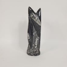 Load image into Gallery viewer, Large 9-1/8" Orthoceras Fossil Tower Crystal from Morocco