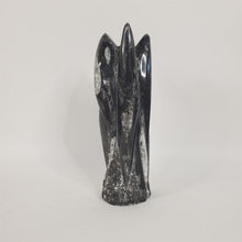 Load image into Gallery viewer, Large 9-1/8" Orthoceras Fossil Tower Crystal from Morocco