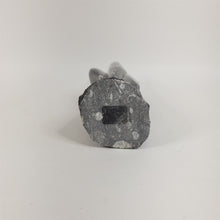 Load image into Gallery viewer, Large 9-1/8" Orthoceras Fossil Tower Crystal from Morocco