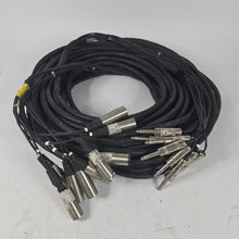 Load image into Gallery viewer, 110 Foot Snake 9-Channel 3-Pin XLR Male to TRS Male Cable