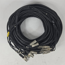 Load image into Gallery viewer, 110 Foot Snake 9-Channel 3-Pin XLR Male to TRS Male Cable