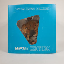 Load image into Gallery viewer, VTG 1980 Ski Country Bobcat &amp; Chipmunk Large Porcelain EMPTY Ltd. Ed. Decanter