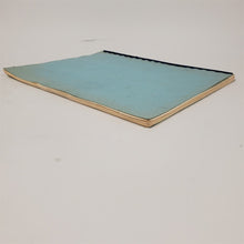 Load image into Gallery viewer, Hy-Cal ESD-9655-A Humidity Temperature Recording Operation &amp; Maintenance Manual