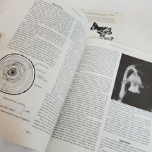 Load image into Gallery viewer, Lot of 2 Books: Keepers of the Earth and Native American Animal Stories