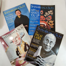 Load image into Gallery viewer, Lot of 13 Shambhala Sun Magazines 2004 2005 2006 2007 2008 2009