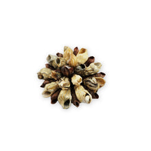 Load image into Gallery viewer, Vintage Natural Snail Shell Cluster Brooch Pin Yellow Fabric Back Beach 2"