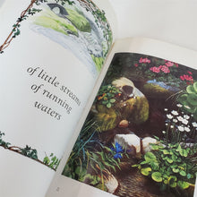 Load image into Gallery viewer, Lot of 2 Books: This is my Wish for You-C. L. Snell; The Next Place-W. Hanson