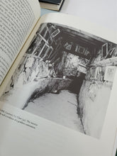 Load image into Gallery viewer, Lot of 4 Books: Celtic Realms; Celtic Journeys, The Celts; Crossing the Circle