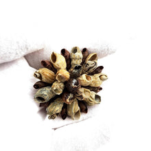 Load image into Gallery viewer, Vintage Natural Snail Shell Cluster Brooch Pin Yellow Fabric Back Beach 2"