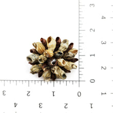 Load image into Gallery viewer, Vintage Natural Snail Shell Cluster Brooch Pin Yellow Fabric Back Beach 2"