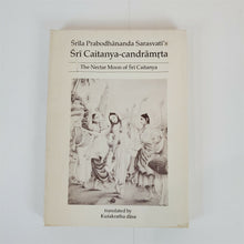 Load image into Gallery viewer, Lot of 6 books: Gandhi, Indian philosopy, Yoga